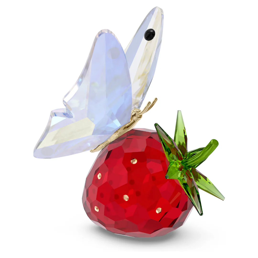 תמונת מוצר 1