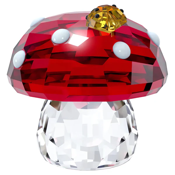 תמונת מוצר 3